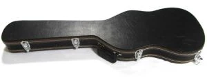 Elektrinė bosinė gitara atvejais