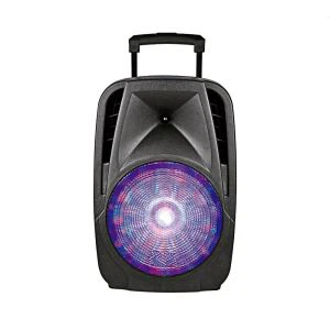 Nešiojamas stiprintuvo garsiakalbis